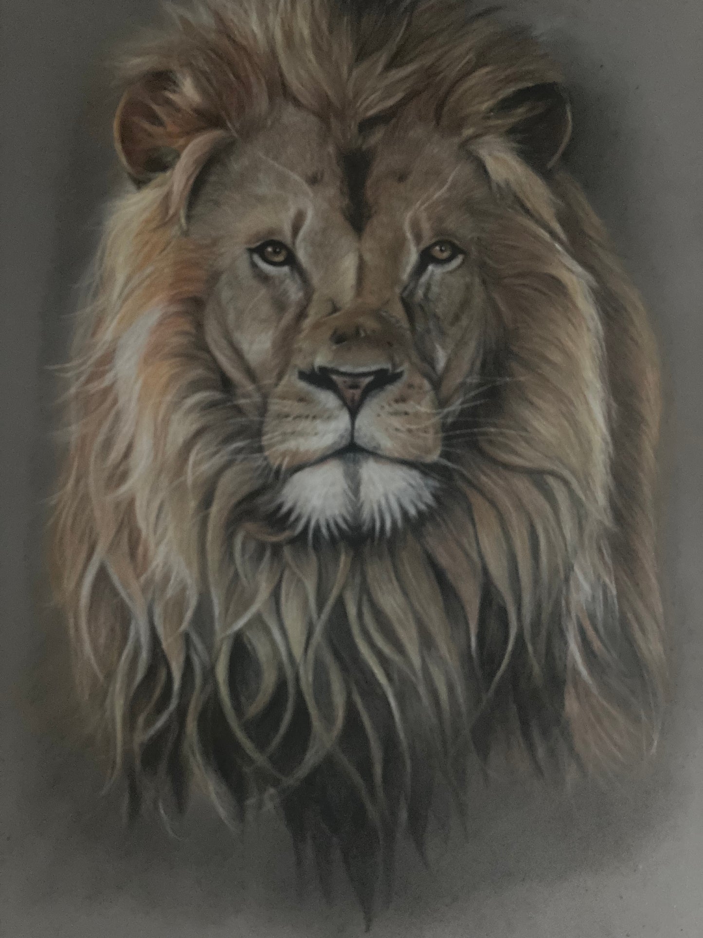 lion